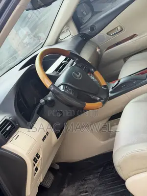Lexus RX 2010 Gray