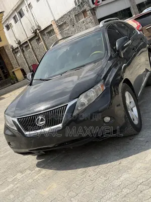 Lexus RX 2010 Gray