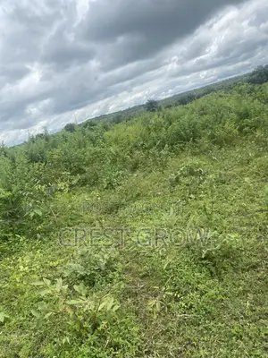 100 Acres of Quality Farm Land at Iseyin Oyo State