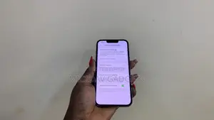 Apple iPhone 13 Pro 256 GB Gray
