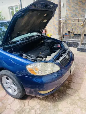 Toyota Corolla LE 2007 Blue
