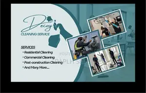 Decoy Cleaning Service