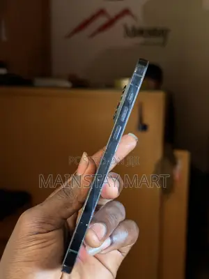 Apple iPhone 12 Pro Max 256 GB Blue