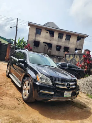 Mercedes-Benz GL-Class GL 450 2010 Black