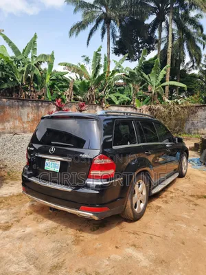 Mercedes-Benz GL-Class GL 450 2010 Black