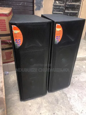 15" Full Range Speaker (Locally Built)