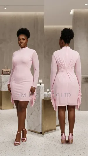 Mesh Bodycon Mini Dress