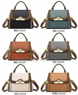 Classy Ladies Handbags for Church, Office, Casual and Owambe
