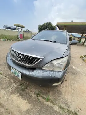 Lexus RX 350 4x4 2009 Gray