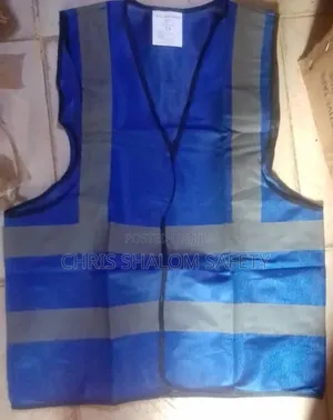 Blue Reflective Vest