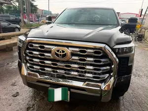 Toyota Tundra 2023 Brown