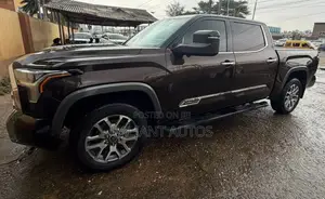 Toyota Tundra 2023 Brown