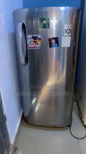 l.g Inverter Fridge