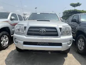 Toyota Tacoma 2010 Silver