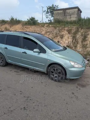 Peugeot 307 2005 Gray