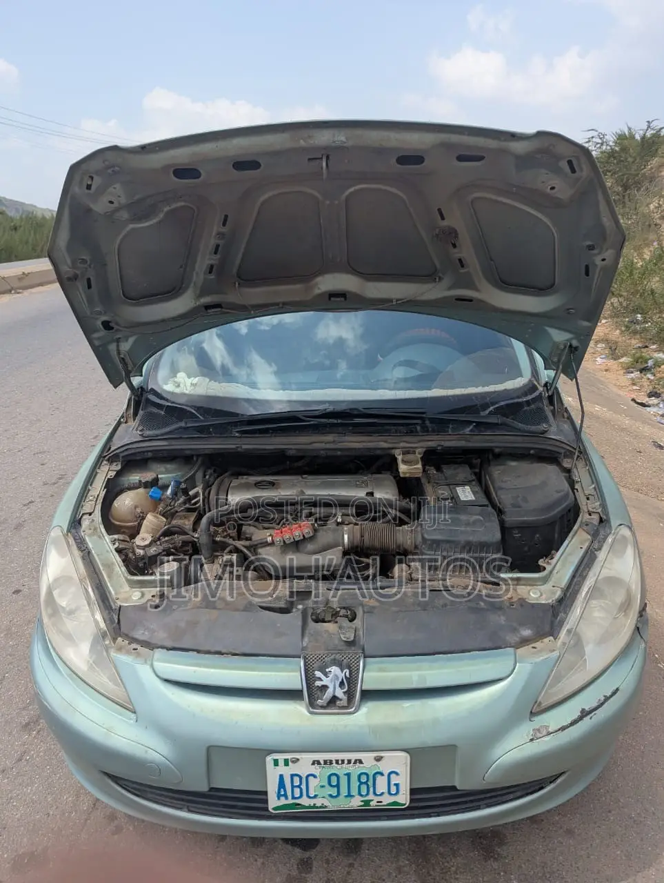 Peugeot 307 2005 Gray