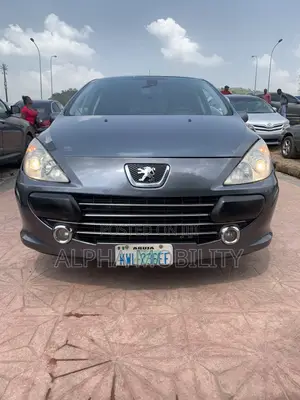 Peugeot 307 2008 Gray