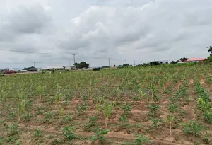 Prime Land for Sale - Gwagwalada FCT