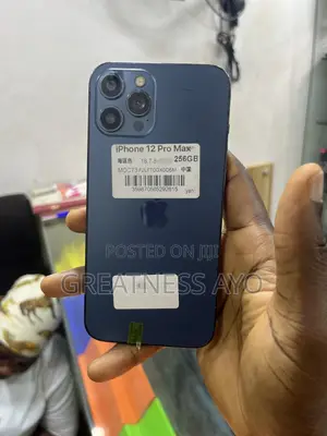 Apple iPhone 12 Pro Max 256 GB Blue