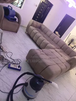 Professional Sofa Cleaning Service