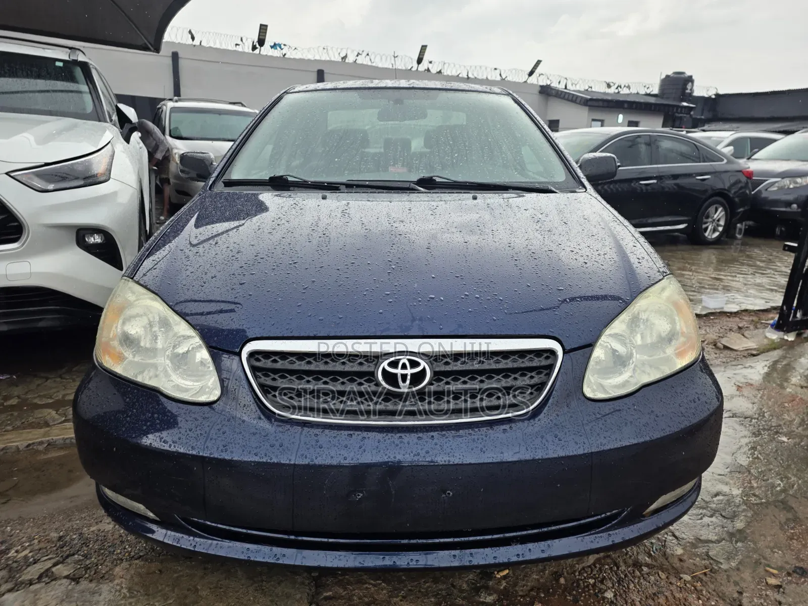 Toyota Corolla 2006 Blue