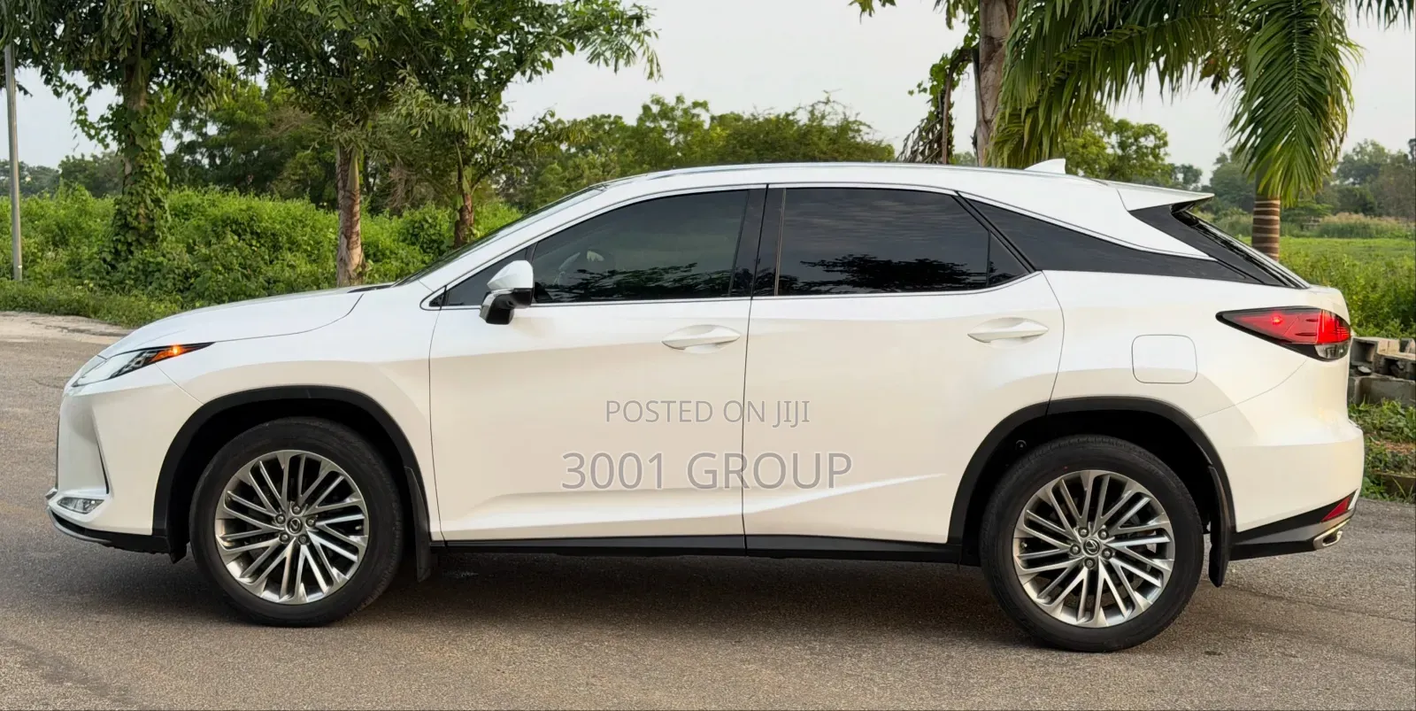 Lexus RX 2022 White