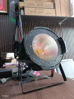 100w Cob Led Par Light