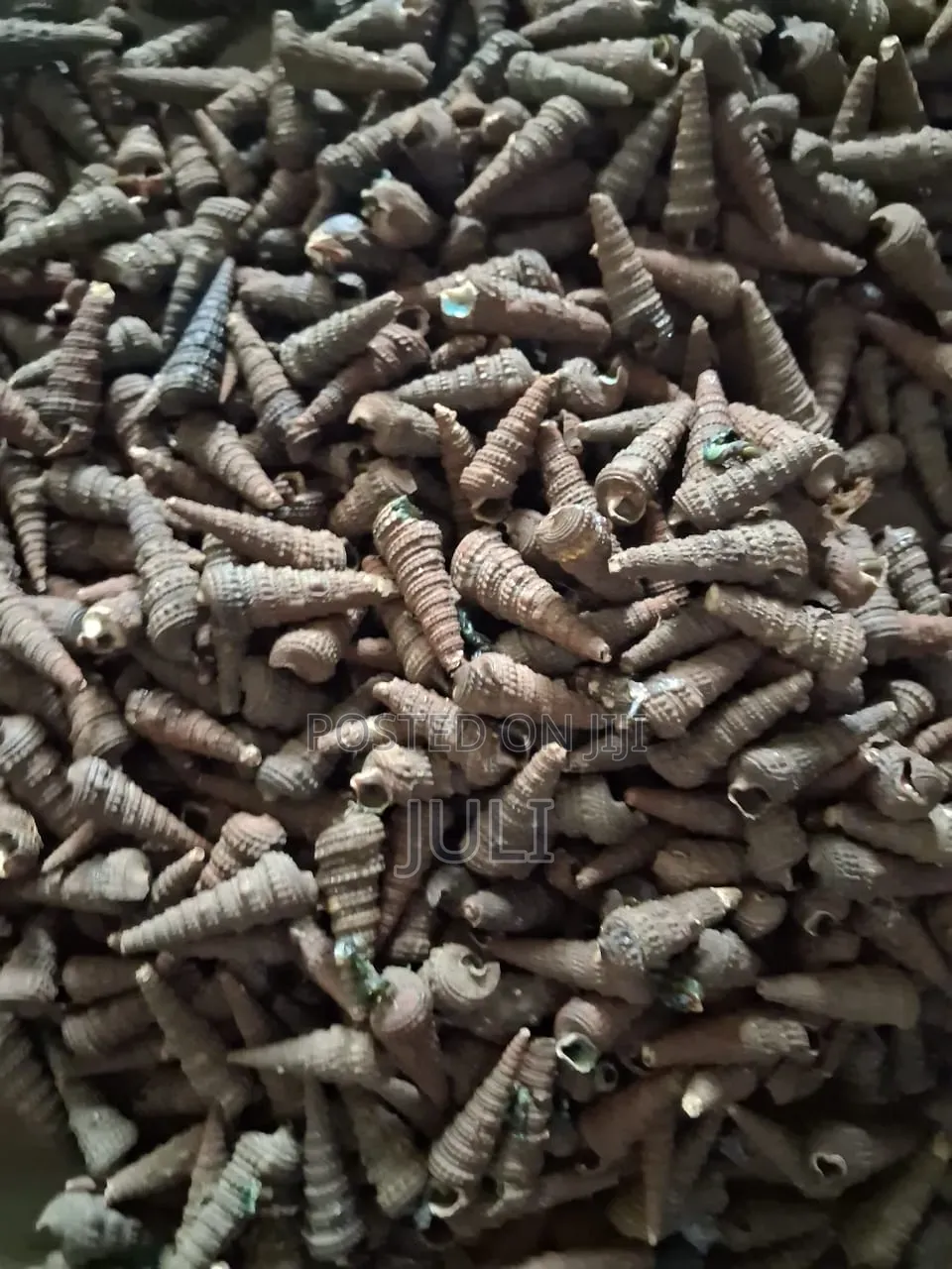 Juli Naturals.