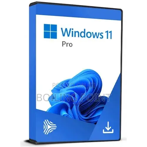 Windows 11 Pro Volume Key 250 PC