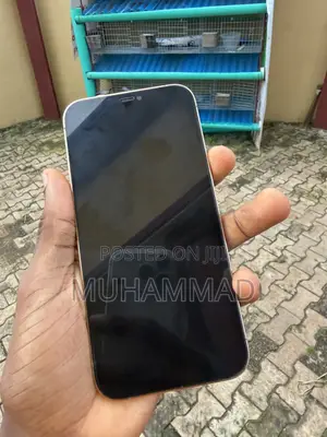 Apple iPhone 12 Pro Max 128 GB Gold