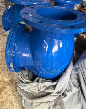 6" Non-Return Valve