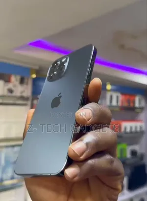 Apple iPhone 12 Pro Max 128 GB Gray