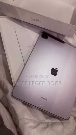 Apple iPad Pro (2022) 512 GB Gray