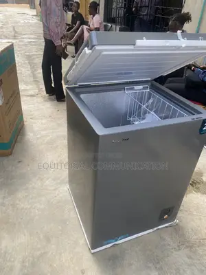 Hisense FC190SH 141L Freezer for Market Vendors