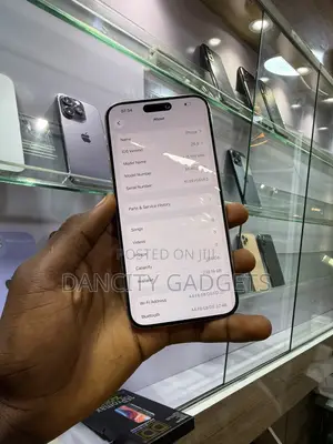 Apple iPhone 15 Pro Max 256 GB Silver