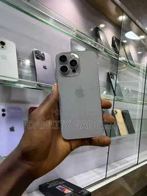 Apple iPhone 15 Pro Max 256 GB Silver