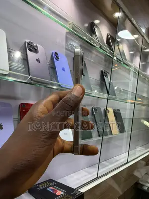 Apple iPhone 15 Pro Max 256 GB Silver