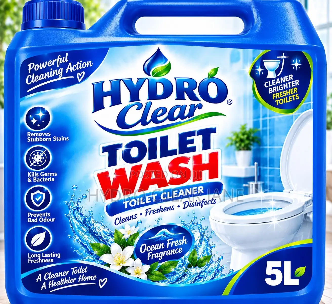Toilet Wash