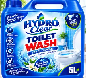 Toilet Wash