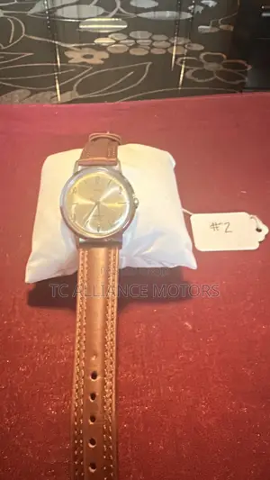 Timex Watch
