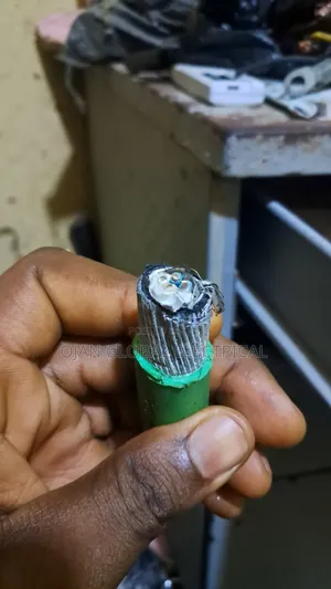 1.5mm 2 Pair Instrument Armoured Cable