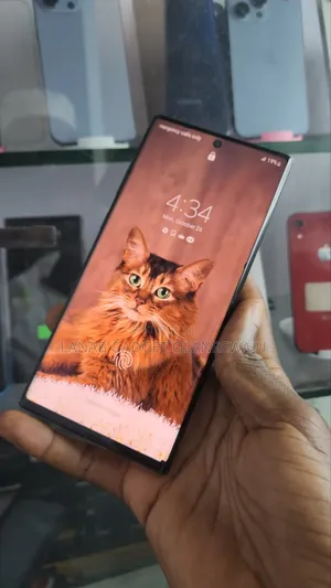Samsung Galaxy Note 10 Plus 256 GB Gray