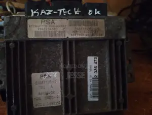 Sagem ECU Dor Peugeot 206,307 or 406 Brainboz