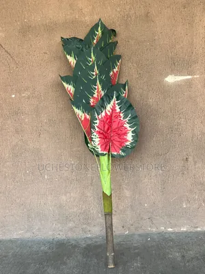 Artificial Plants and Flowers