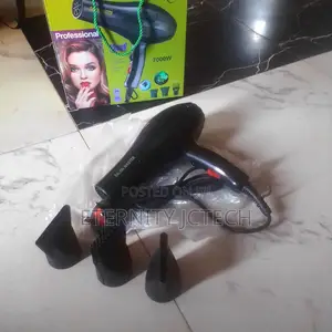 Professional Hair Dryer