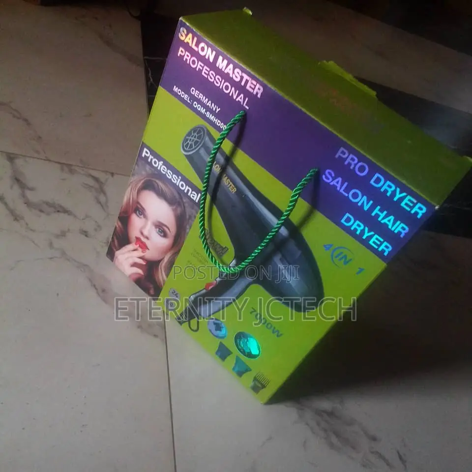 Professional Hair Dryer
