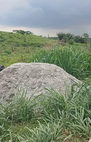 Land for Sell