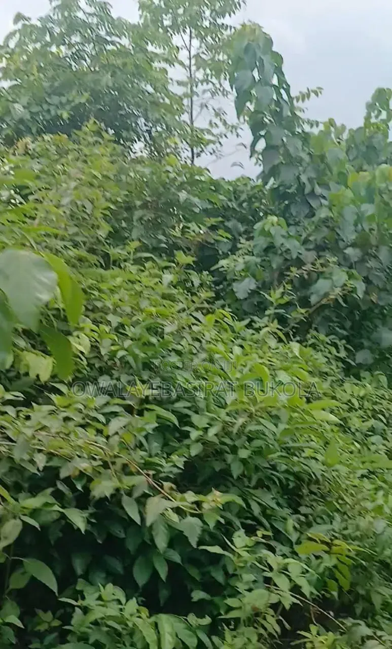 Land for Sell
