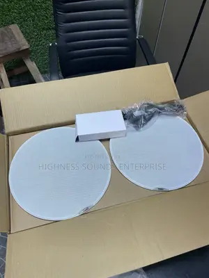 100w 2in1 Bluetooth Ceiling Speaker
