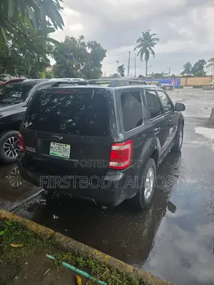 Ford Escape 2009 Gray